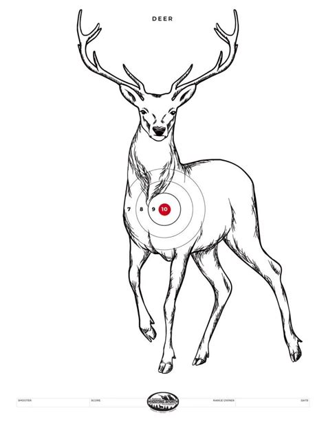 Big game hunting targets nyt. Things To Know About Big game hunting targets nyt. 